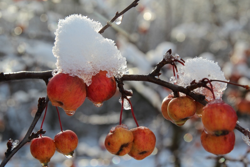 Gut gewappnet gegen Winterspeck